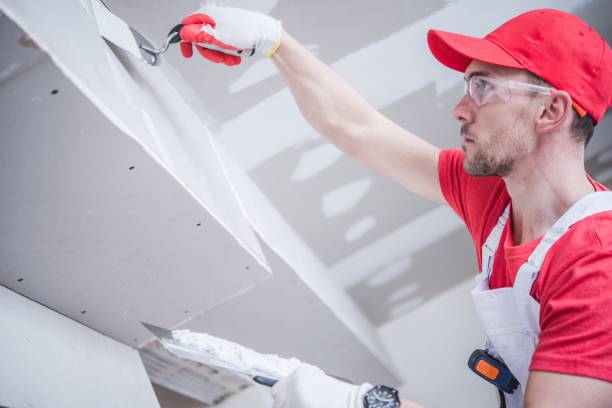 Professional Mold Removal in Crockett, TX